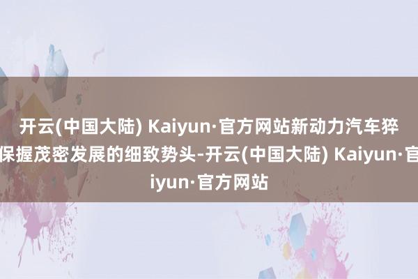 开云(中国大陆) Kaiyun·官方网站新动力汽车猝然市集保握茂密发展的细致势头-开云(中国大陆) Kaiyun·官方网站