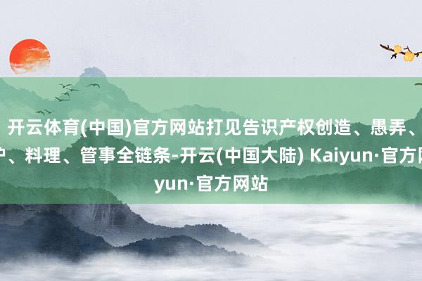 开云体育(中国)官方网站打见告识产权创造、愚弄、保护、料理、管事全链条-开云(中国大陆) Kaiyun·官方网站