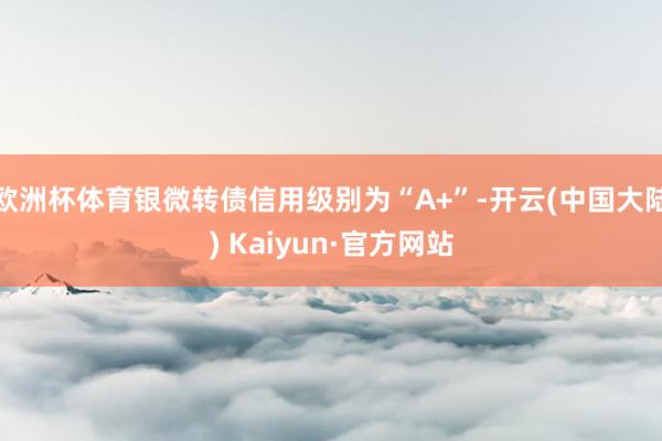 欧洲杯体育银微转债信用级别为“A+”-开云(中国大陆) Kaiyun·官方网站