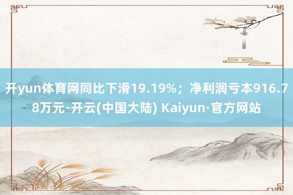 开yun体育网同比下滑19.19%；净利润亏本916.78万元-开云(中国大陆) Kaiyun·官方网站