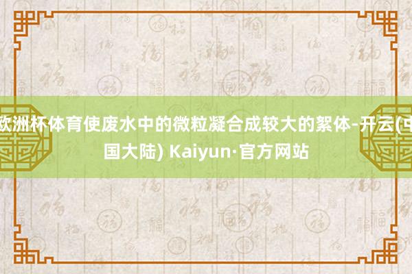 欧洲杯体育使废水中的微粒凝合成较大的絮体-开云(中国大陆) Kaiyun·官方网站