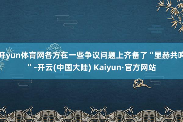 开yun体育网各方在一些争议问题上齐备了“显赫共鸣”-开云(中国大陆) Kaiyun·官方网站