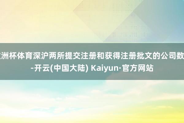 欧洲杯体育深沪两所提交注册和获得注册批文的公司数目-开云(中国大陆) Kaiyun·官方网站