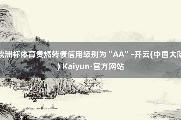 欧洲杯体育贵燃转债信用级别为“AA”-开云(中国大陆) Kaiyun·官方网站