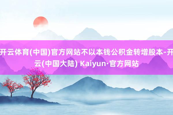 开云体育(中国)官方网站不以本钱公积金转增股本-开云(中国大陆) Kaiyun·官方网站