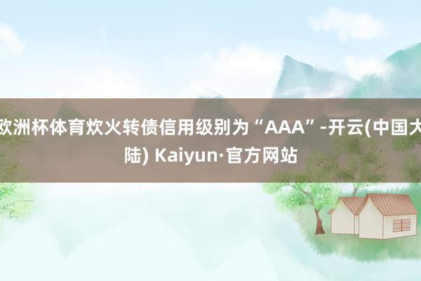 欧洲杯体育炊火转债信用级别为“AAA”-开云(中国大陆) Kaiyun·官方网站