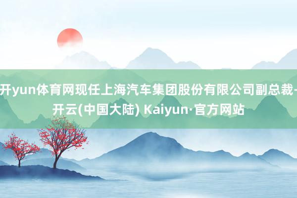 开yun体育网现任上海汽车集团股份有限公司副总裁-开云(中国大陆) Kaiyun·官方网站