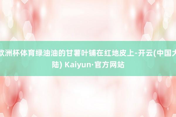 欧洲杯体育绿油油的甘薯叶铺在红地皮上-开云(中国大陆) Kaiyun·官方网站