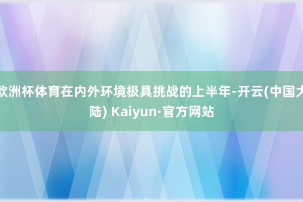 欧洲杯体育在内外环境极具挑战的上半年-开云(中国大陆) Kaiyun·官方网站