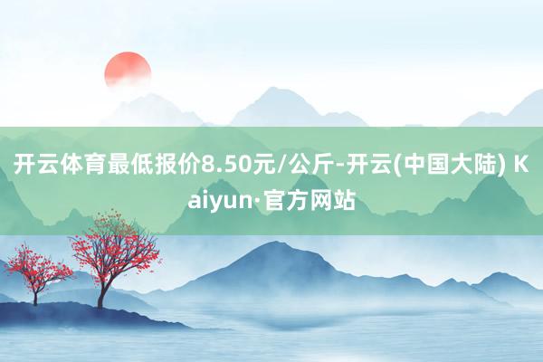 开云体育最低报价8.50元/公斤-开云(中国大陆) Kaiyun·官方网站