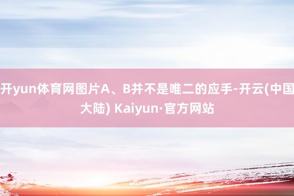 开yun体育网图片A、B并不是唯二的应手-开云(中国大陆) Kaiyun·官方网站