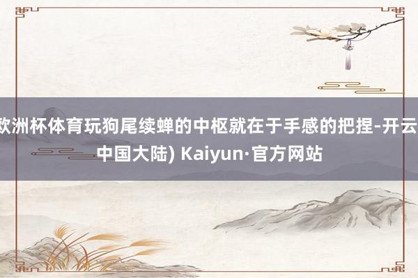 欧洲杯体育玩狗尾续蝉的中枢就在于手感的把捏-开云(中国大陆) Kaiyun·官方网站