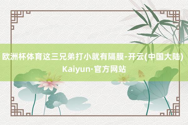 欧洲杯体育这三兄弟打小就有隔膜-开云(中国大陆) Kaiyun·官方网站