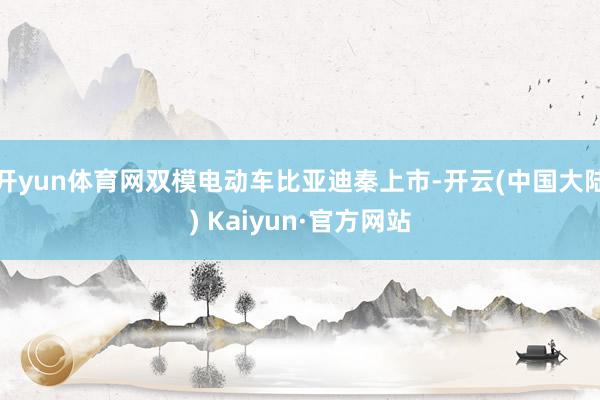 开yun体育网双模电动车比亚迪秦上市-开云(中国大陆) Kaiyun·官方网站