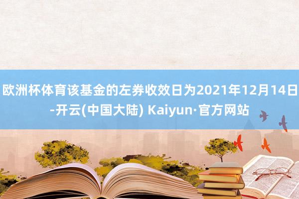 欧洲杯体育该基金的左券收效日为2021年12月14日-开云(中国大陆) Kaiyun·官方网站