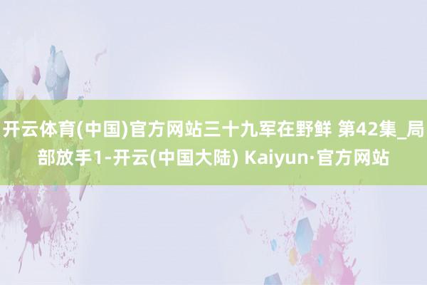 开云体育(中国)官方网站三十九军在野鲜 第42集_局部放手1-开云(中国大陆) Kaiyun·官方网站