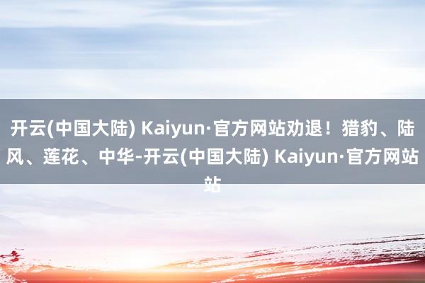 开云(中国大陆) Kaiyun·官方网站劝退！猎豹、陆风、莲花、中华-开云(中国大陆) Kaiyun·官方网站