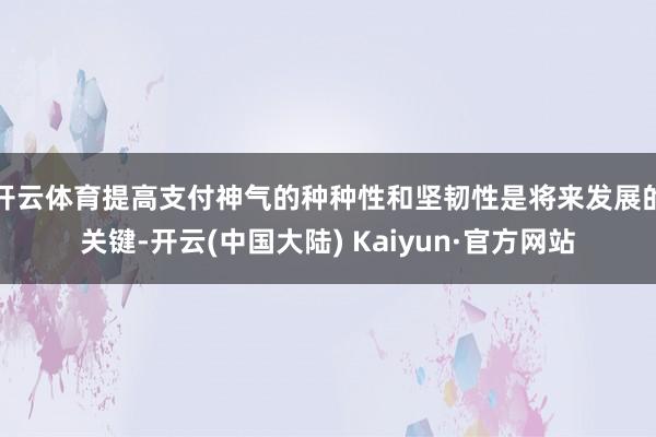 开云体育提高支付神气的种种性和坚韧性是将来发展的关键-开云(中国大陆) Kaiyun·官方网站