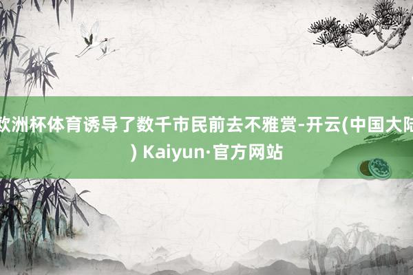 欧洲杯体育诱导了数千市民前去不雅赏-开云(中国大陆) Kaiyun·官方网站