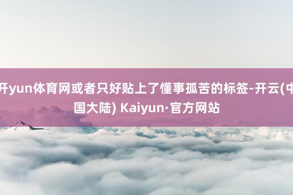 开yun体育网或者只好贴上了懂事孤苦的标签-开云(中国大陆) Kaiyun·官方网站