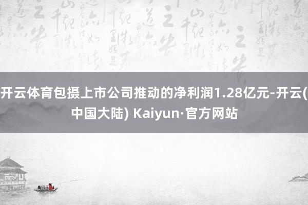 开云体育包摄上市公司推动的净利润1.28亿元-开云(中国大陆) Kaiyun·官方网站