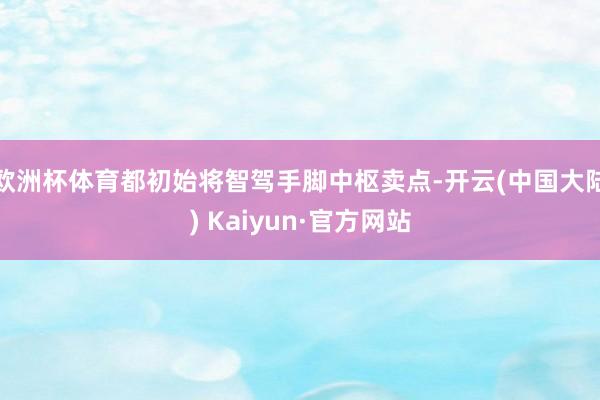 欧洲杯体育都初始将智驾手脚中枢卖点-开云(中国大陆) Kaiyun·官方网站